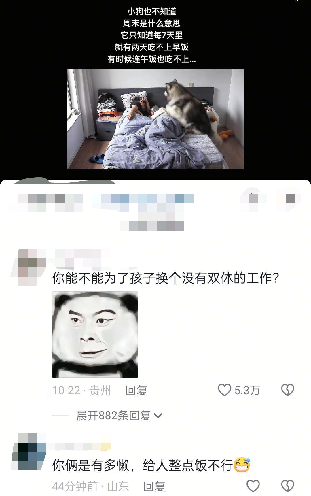 小狗也不知道 周末是什么意思 