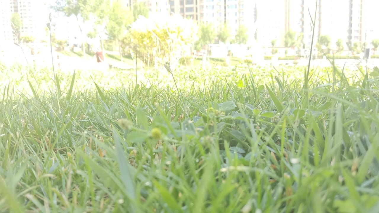 记录我的2026 2026年夏天，美景各有千秋。
我去了初夏的北疆。从深圳中转飞