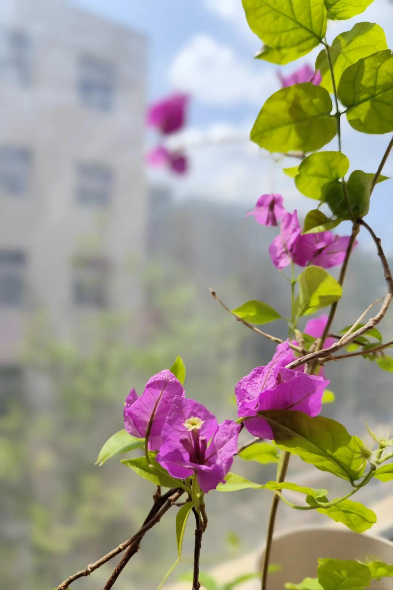 在慢慢变老的路上，你还会学习吗年岁渐长，但成长不能停止。不管多少岁，都需要不断的