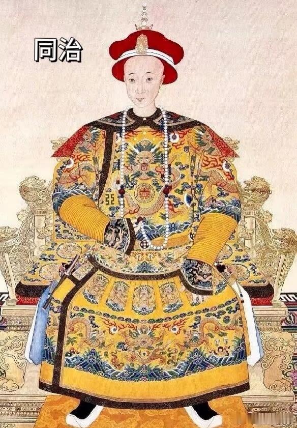 清穆宗同治帝载淳chún清朝第十位皇帝出身清朝皇室（咸丰帝独子）主要功绩：同治帝