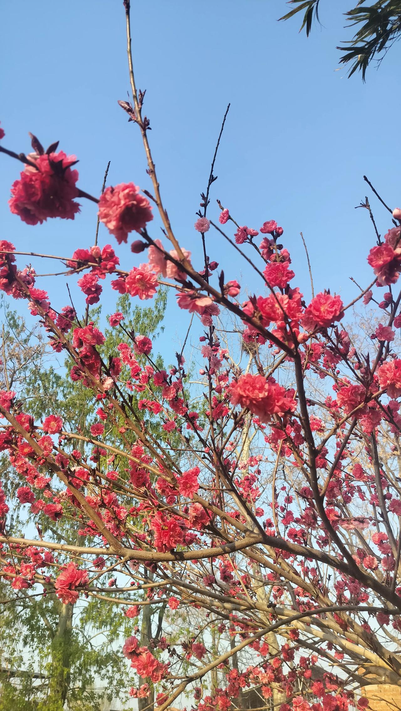 我觉得吧人到中年，真没必要打扮的多么精致，浓妆艳抹，但也别随便糊弄自己。不用买多