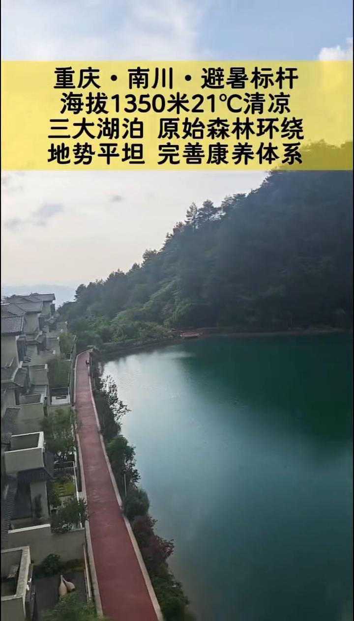 重庆·南川·避暑标杆，海拔1350米，21°C清凉。
三大湖泊原始森林环绕，地势