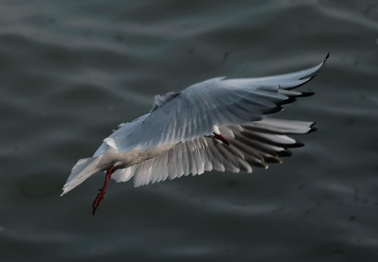 善良不用声张却温暖人心。
善良是不起眼的微光，在那里都会发亮。