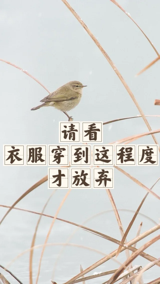 省钱经468:孩子衣服穿成这样，他也不在乎