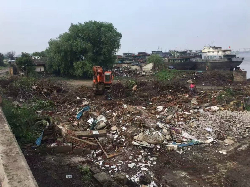 【“工业岸线”变身“生态画廊”  十里江湾见证长江芜湖段绿色重生】#长江十年行#