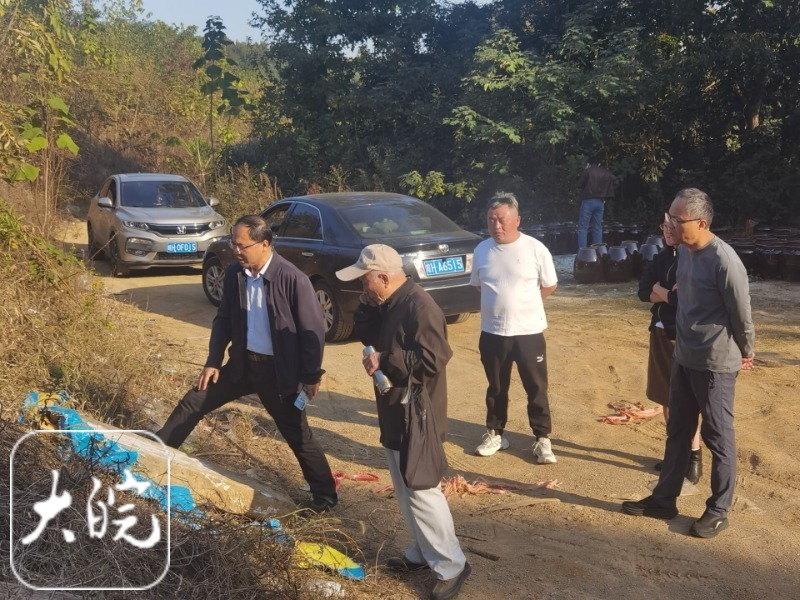 安庆三块查氏古碑入藏独秀园 补证陈独秀母系家世