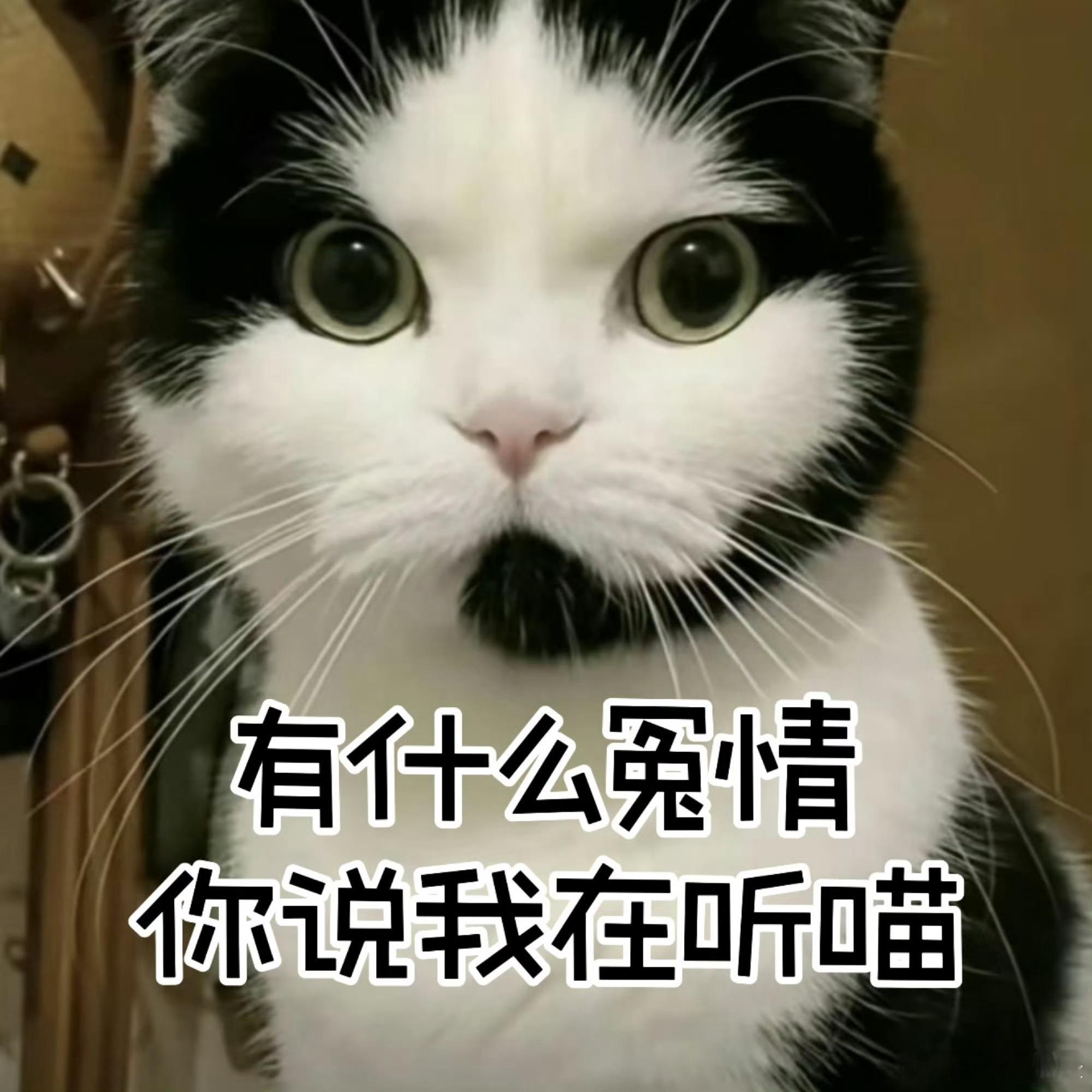展昭剑指江湖凡人立挽狂澜韩立阴鸷求生，展昭凛然正气，两个完全不同赛道也能梦幻联动