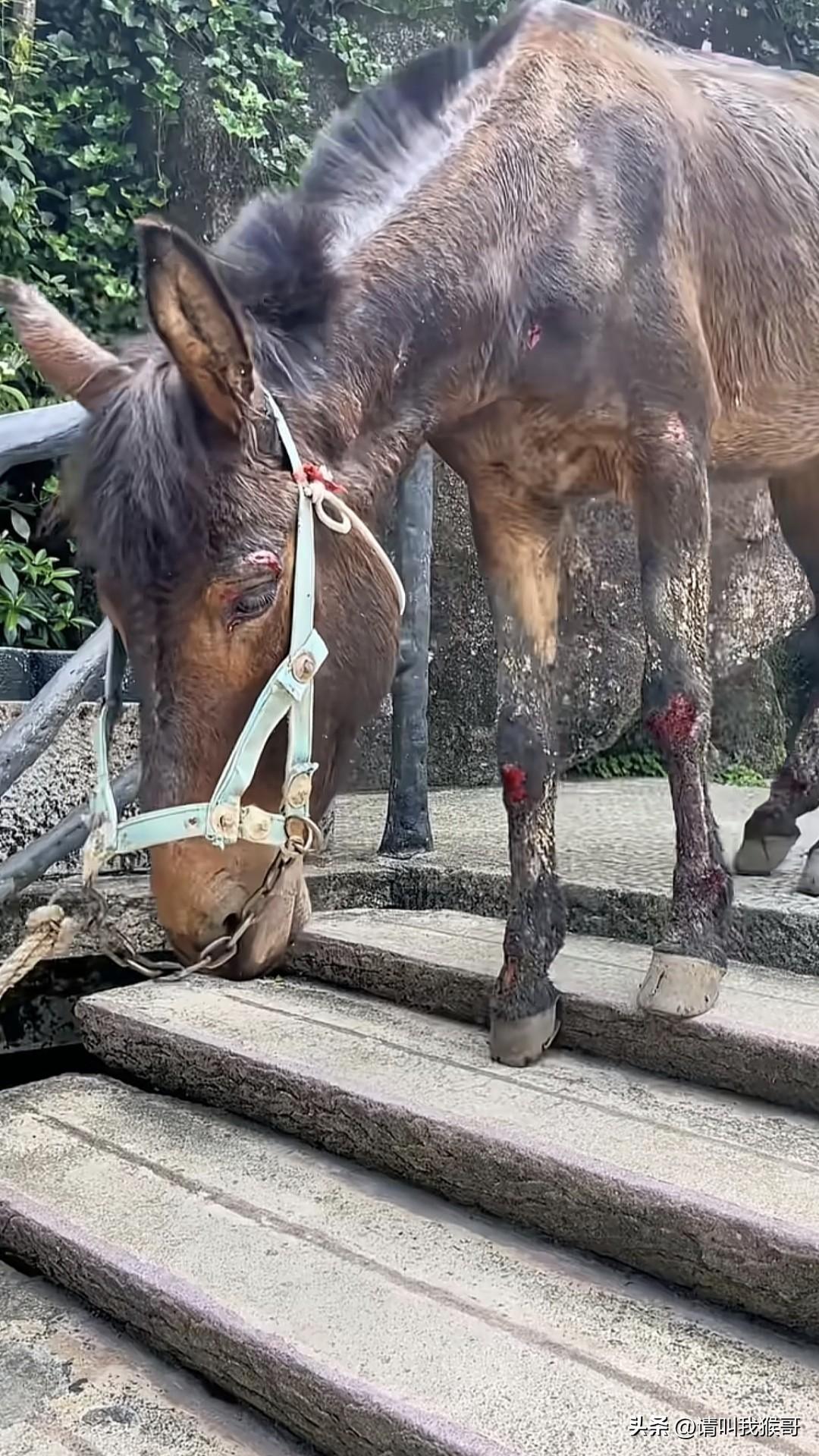 一个人如果连帮自己赚钱的伙伴都不爱，这样的人我觉得不算是人！