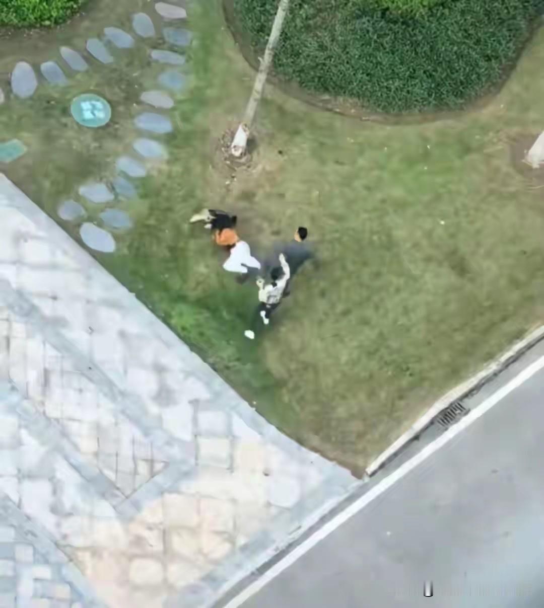重庆遛狗女子被打后续来了
被打女子也不是因为狗没有栓绳，而且狗也没吓到孩子，孩子