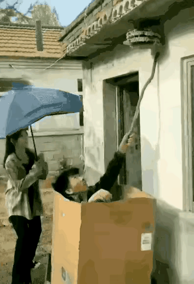 聪明反被聪明误，男孩捅马蜂窝的这个操作，算不算作茧自缚啊？
还是这名小女孩聪明，