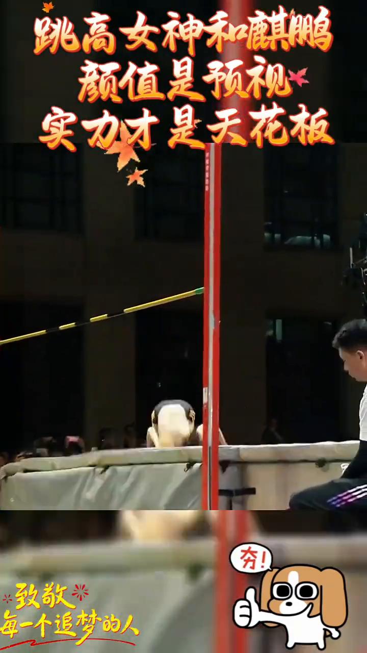 跳高女神和麒鹏颜值是预视，实力才是天花板。
致敬每一个追梦的人。