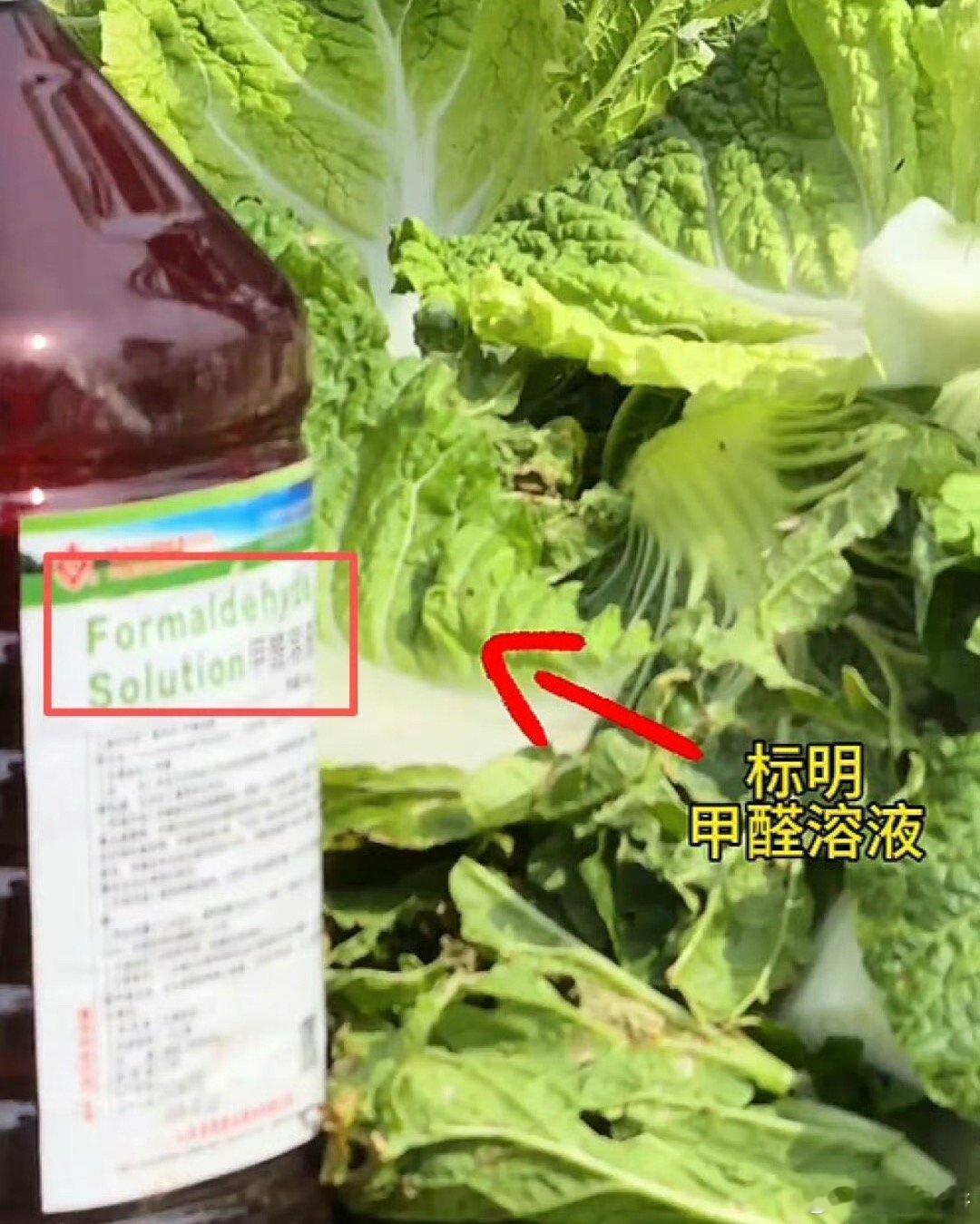 甲醛白菜 工人癌症风险，太可怕了，怪不得冬天的白菜还翠绿翠绿的，竟然加甲醛。爱车