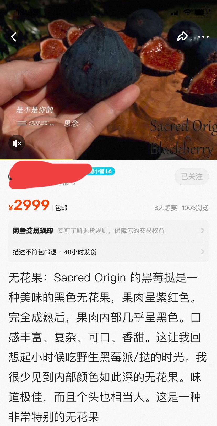 今天我收集一下我的无花果品种、我的天、品种有小夭使、樱桃甜酒、海浪、万叶，黑曼、