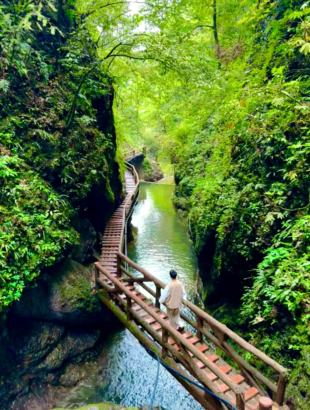 听劝！来成都一定要去一次青城后山！附路线