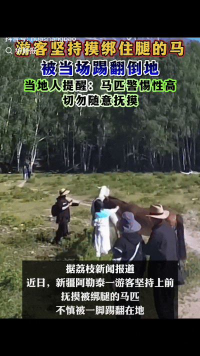 “不作死就不会死！”新疆阿勒泰，两名女游客近距离观看两匹马，有人提醒她不要靠太近