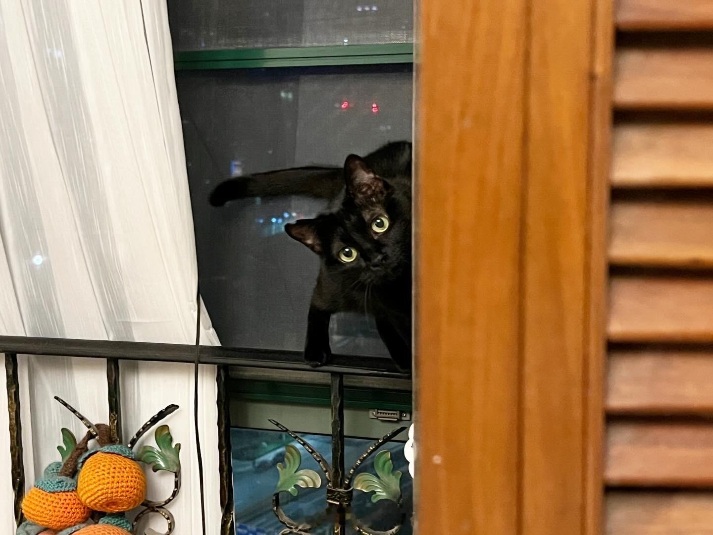 吼唷～～～太可愛了吧😍😍😍#蝦蝦不可以太可愛# ​​​