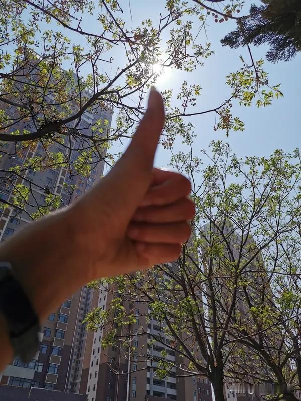 生活不需要比别人好，但一定要比从前好。愿你一直在越来越好的路上。