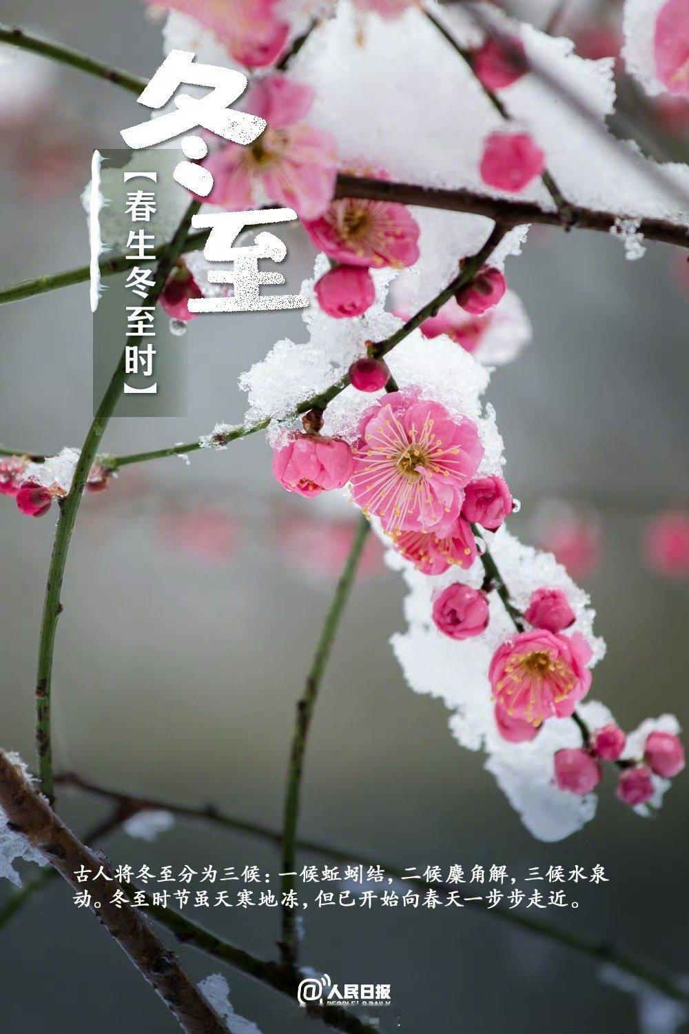 今儿冬至，想我爸妈了。我想起父母健在时的生活画面。瞬间的永恒带来的是一幅幅有丰富