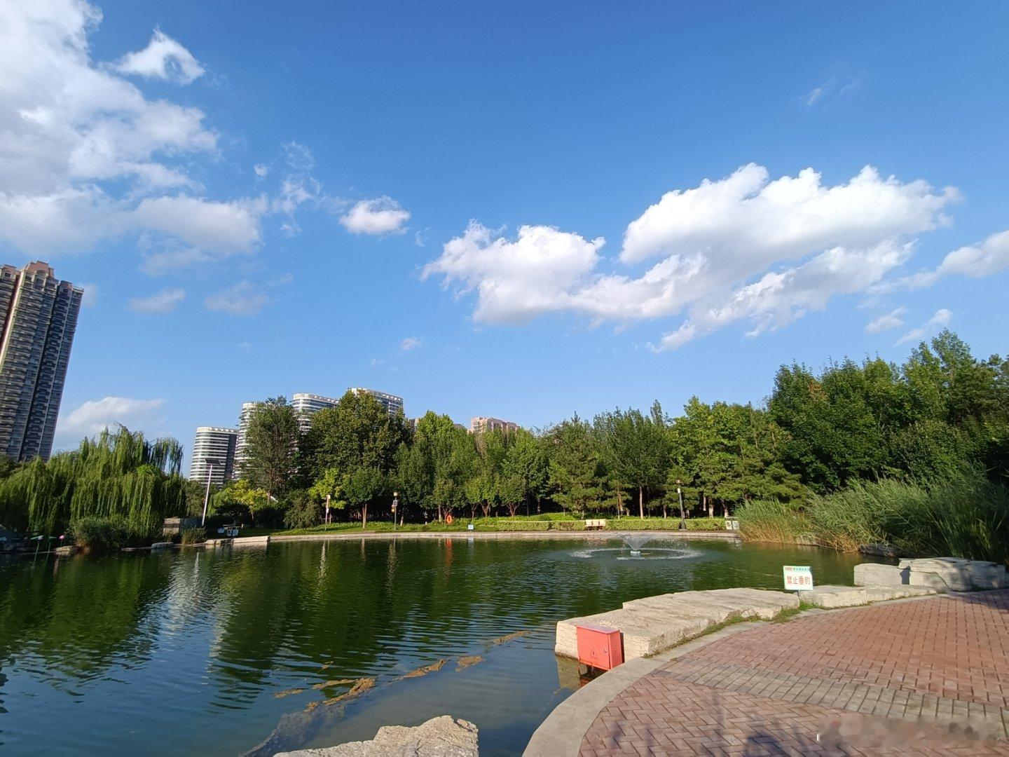 手机摄影[超话] 每天奔赴美好总会寻得惬意 ​​​