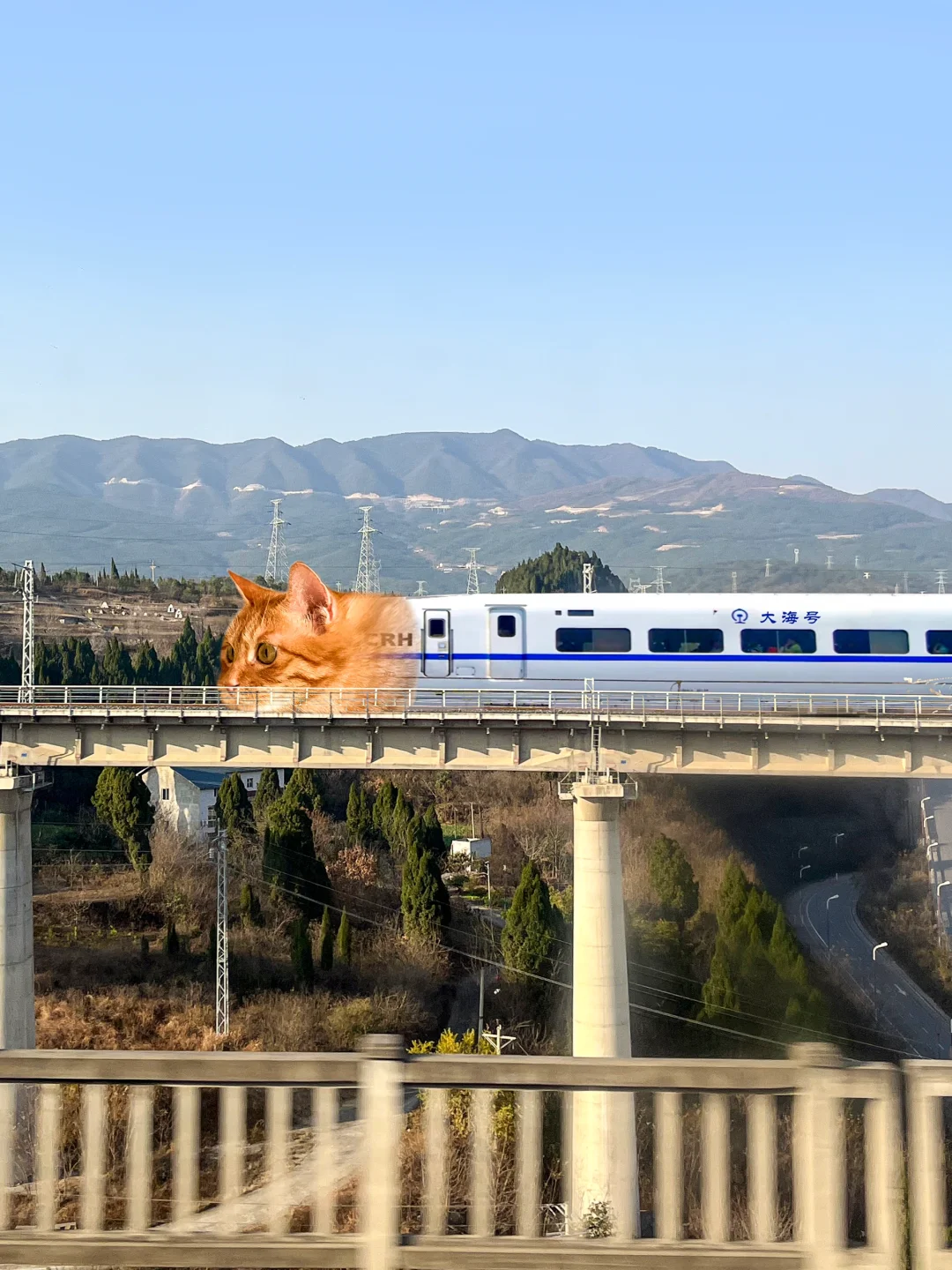 快看！大海号🚄