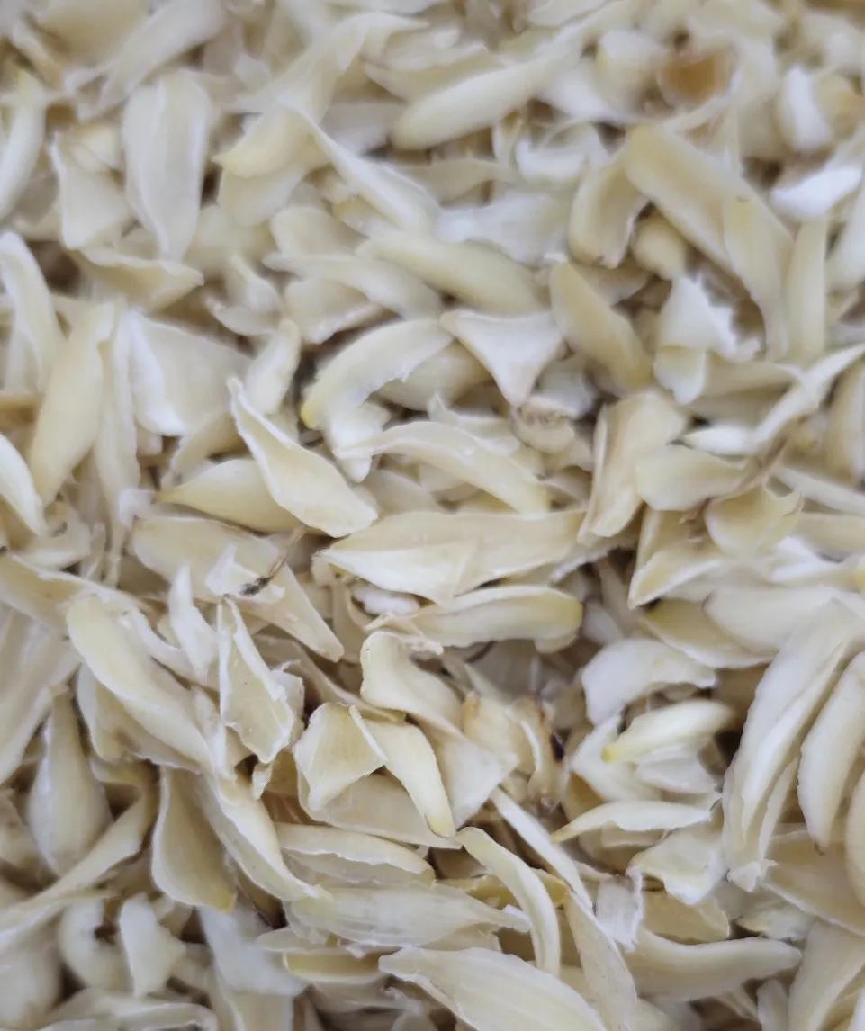 今日亳州中药材市场部分药材价格：红枣8元/千克，黑枣16元/千克，侧柏叶9元/千