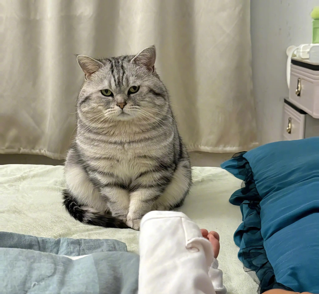 费那劲才生一个，没眼睛看！！！ ​​​