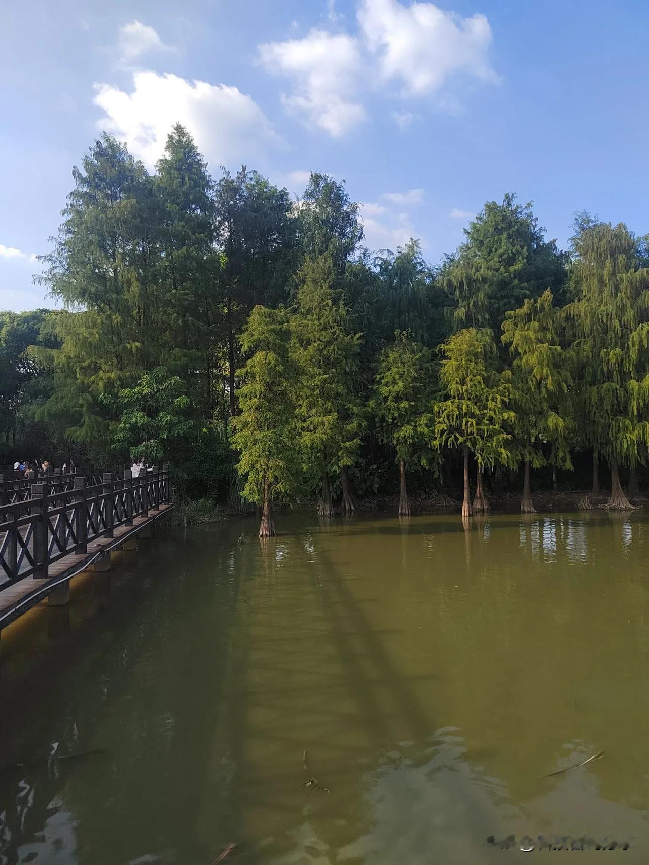 生活不是赛跑，而是一场旅行。不必急于到达终点，沿途的风景，从从容容地欣赏，才是最