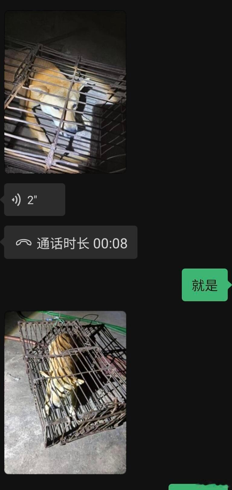 -看完真的替家长和小狗感到庆幸庆幸家长的不放弃，也庆幸遇到了这么好的警察同志！！