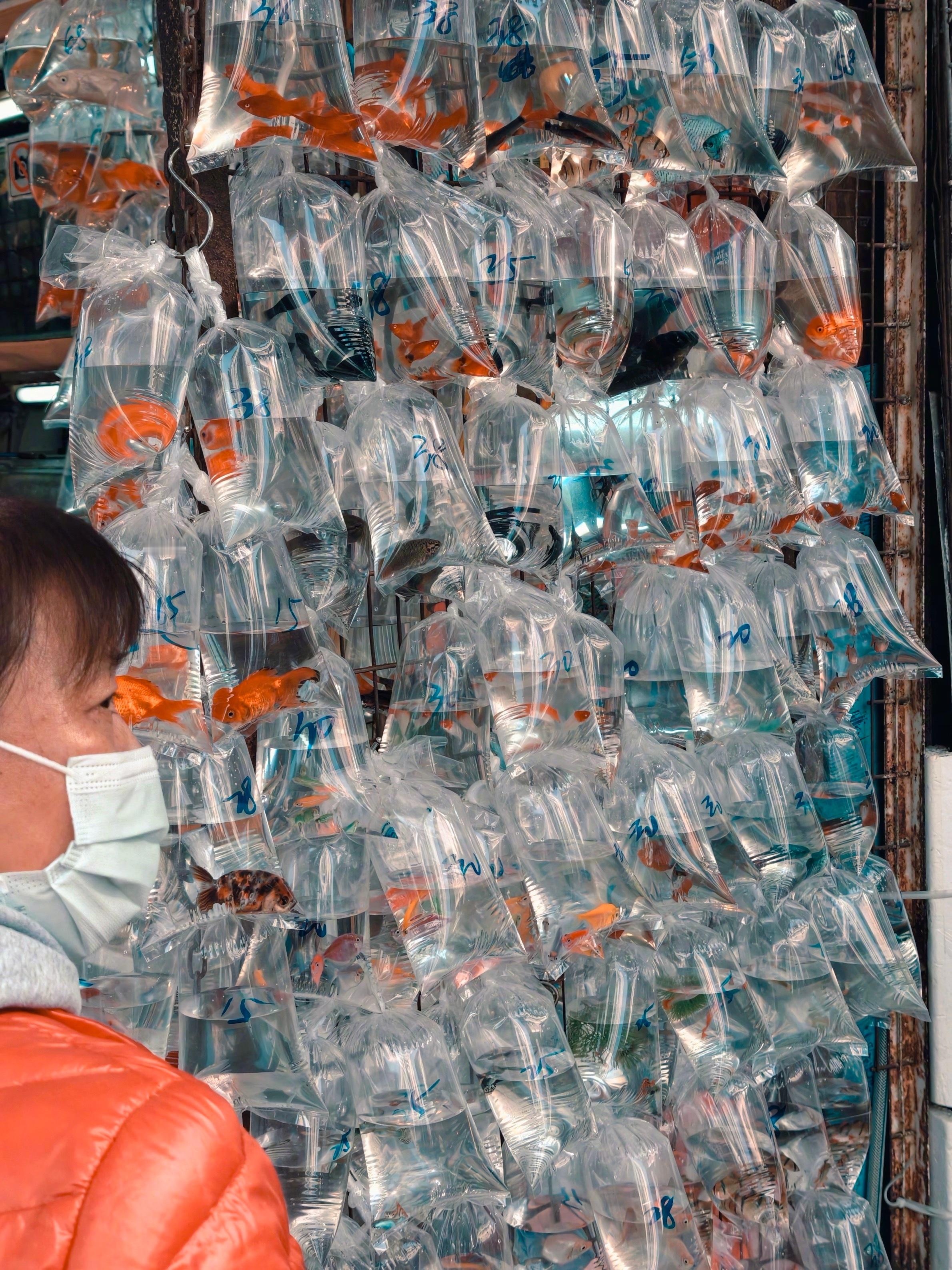 分享图片 香港·维多利亚港