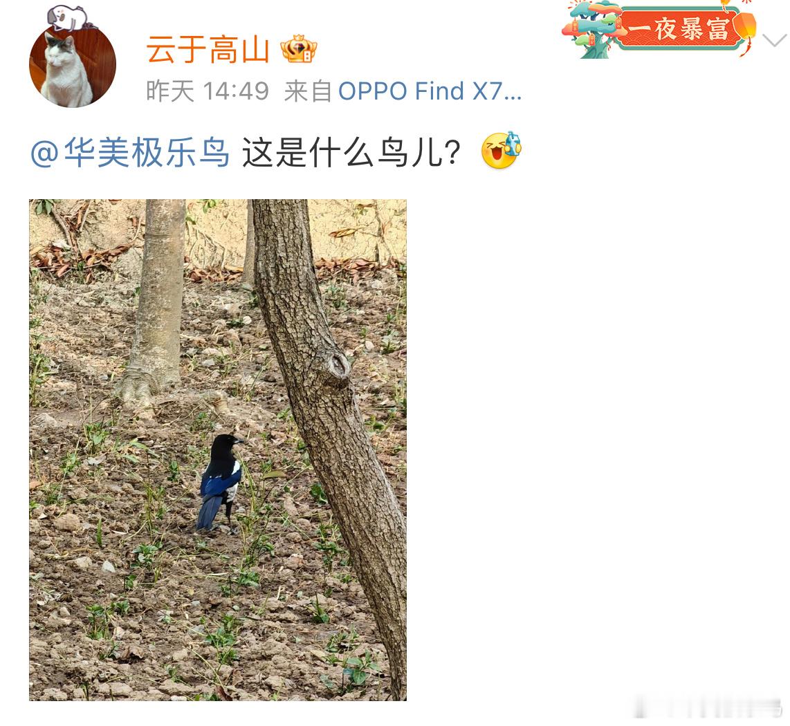 送分题环节～自信地说出它滴名字 ​​​