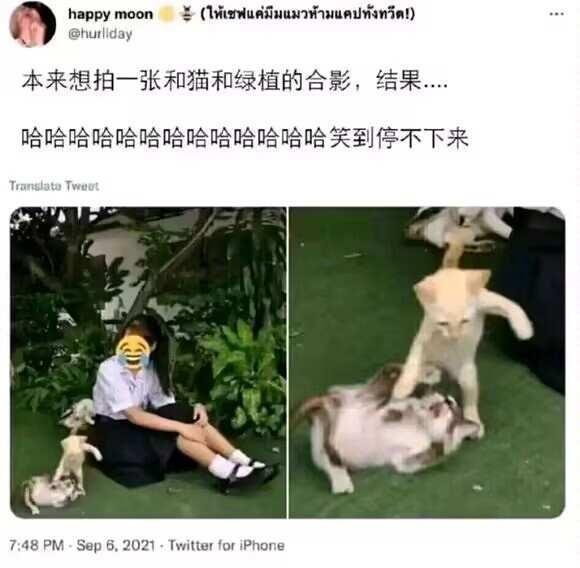 每日梗图3²+1 ​​​
