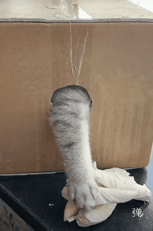 值得借鉴！