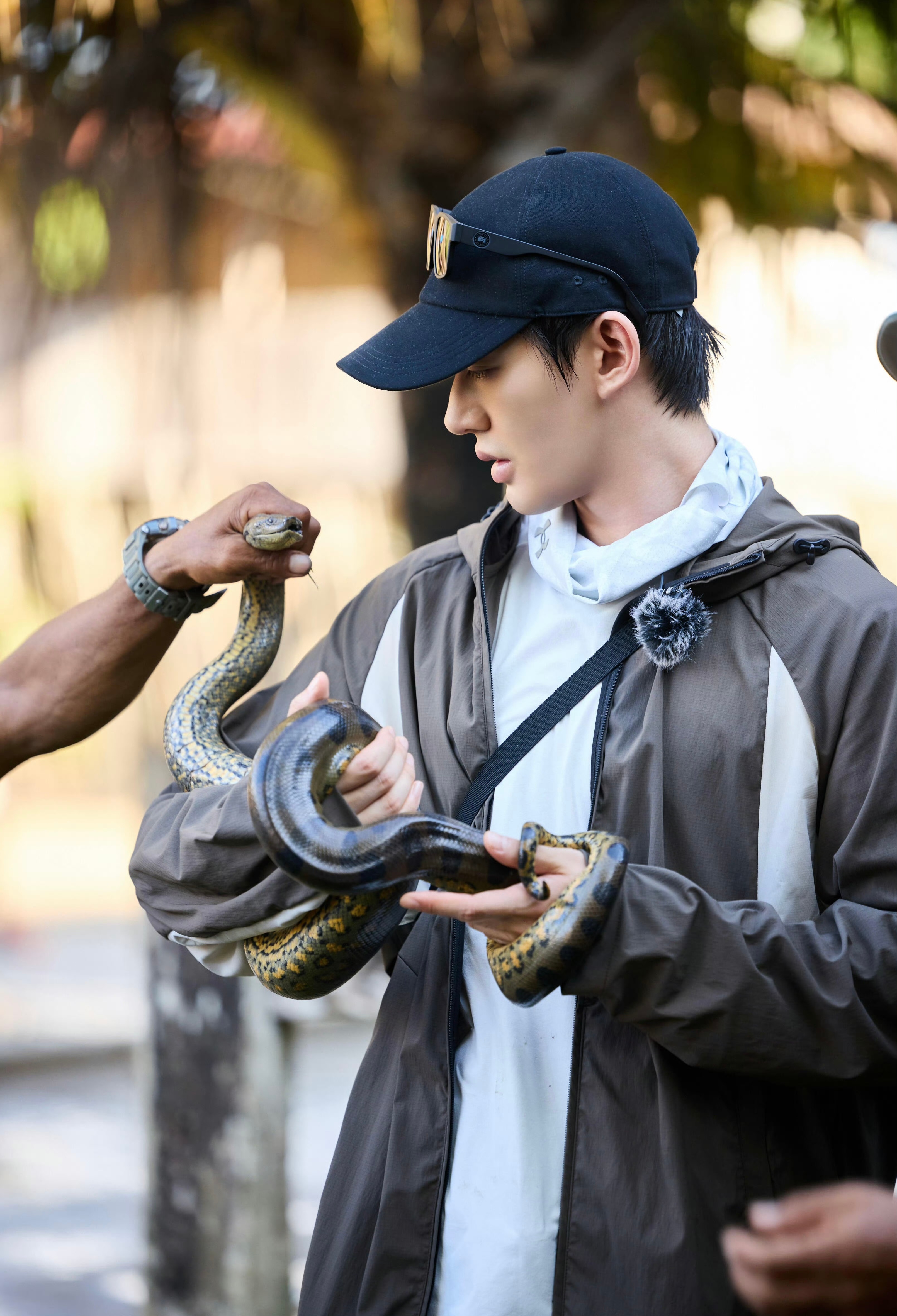内鱼唯一🐍塑小🐍看着🐍👑 