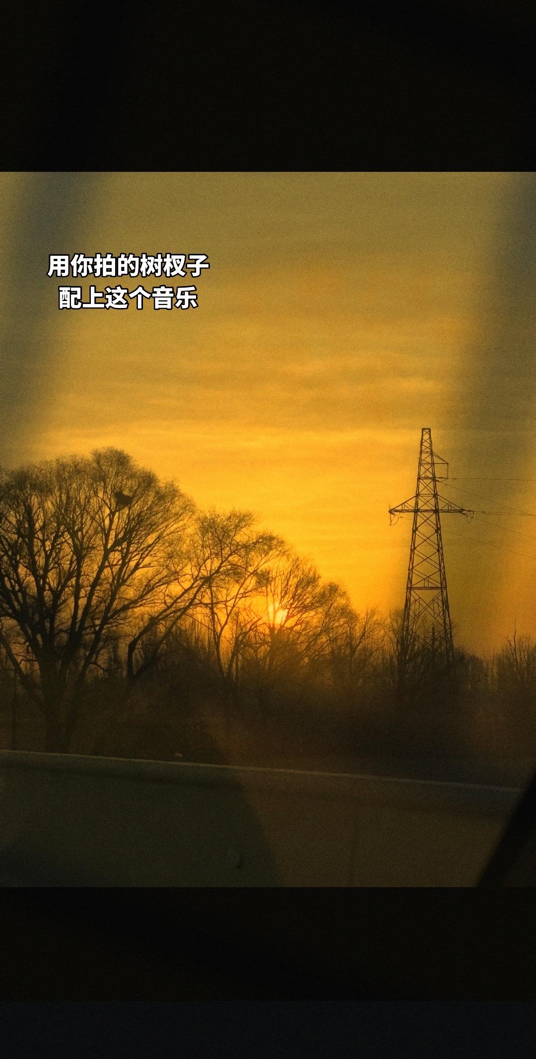 如果你也喜欢拍树不妨交换一张 隨手拍