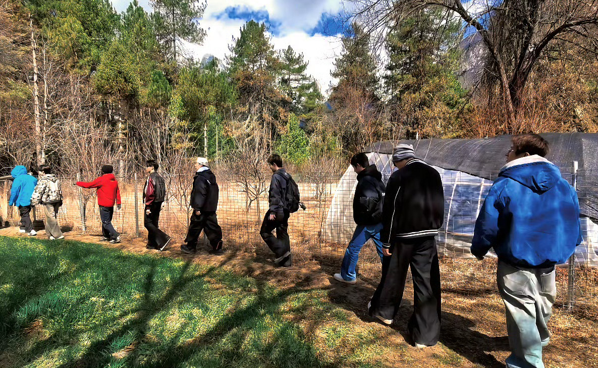 十个勤天赵小童种地吧 《新的一年圆圆满满》🌕🌕🌕第一时间数人数咦？9个，哦