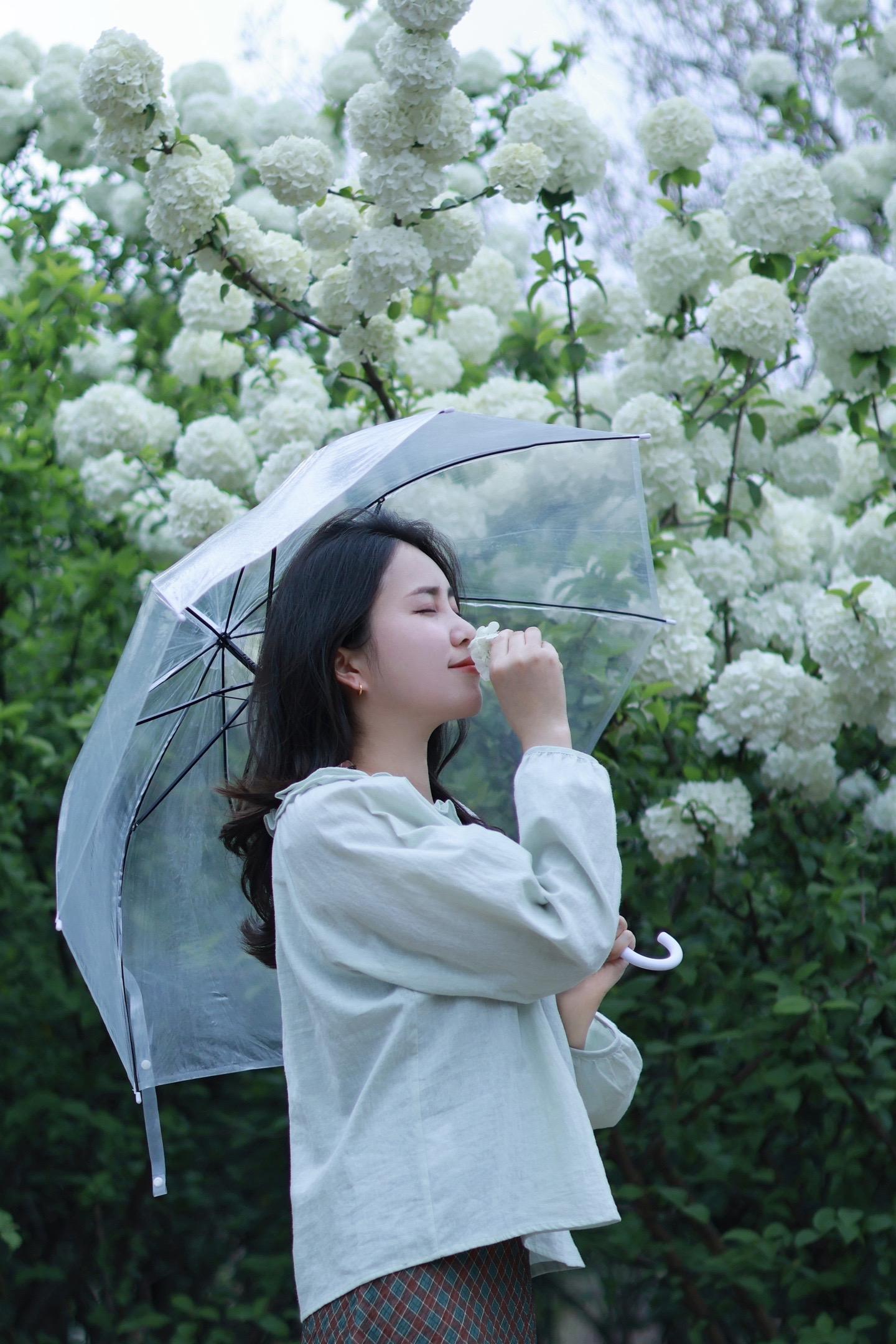 人间四月天 花期已至美好如初