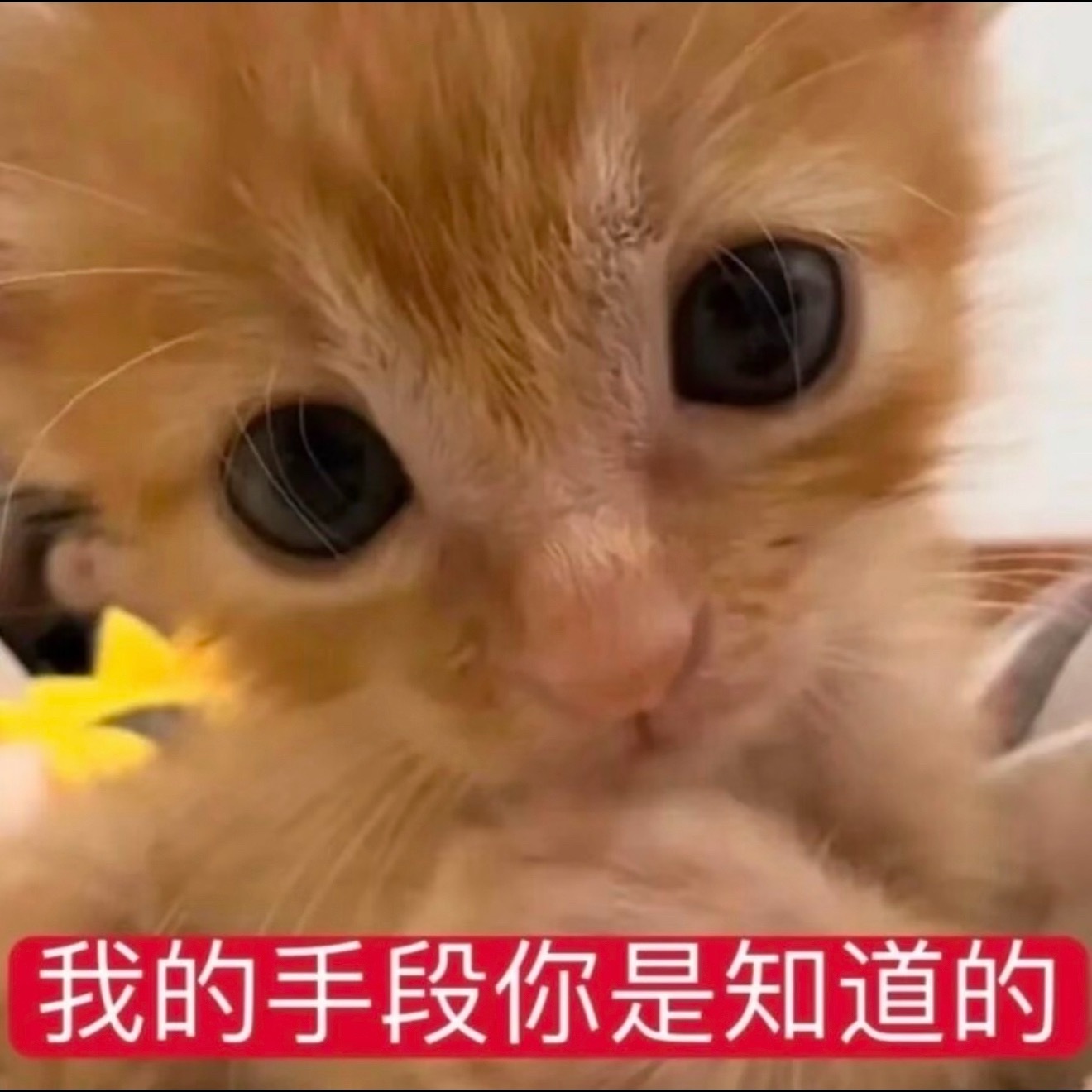 下午洗澡是一种混沌的感觉，其实我感觉最舒服的洗澡时间早上上班前和晚上睡觉前，一个