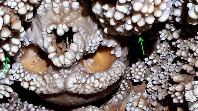 意大利“爆米花人”之谜揭晓 研究证实12.8万年前尼安德塔人被“封”进岩壁海外新