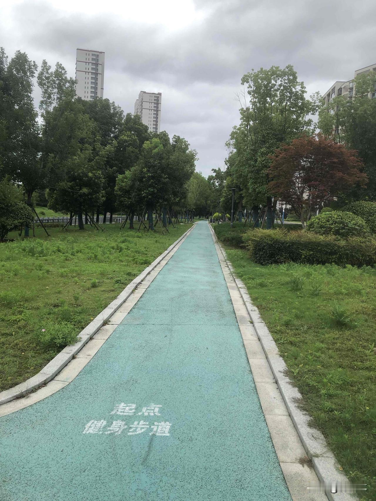 夏日生活打卡季由于受台风外围影响，连日阴天大风，暑气一下子消散了。走在林荫道上，