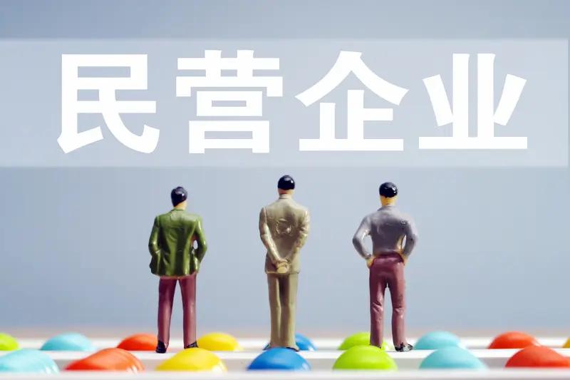 两位博士落户民企，其背后是校企“联姻”带来的双赢局面。杭州林东新能源科技股份有限