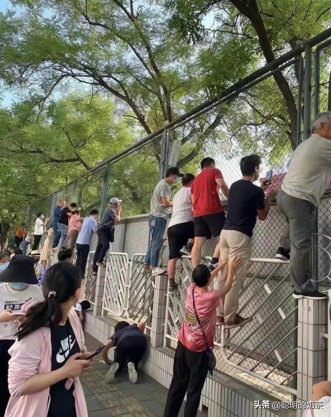 开学第一天家长们都这么激动吗？