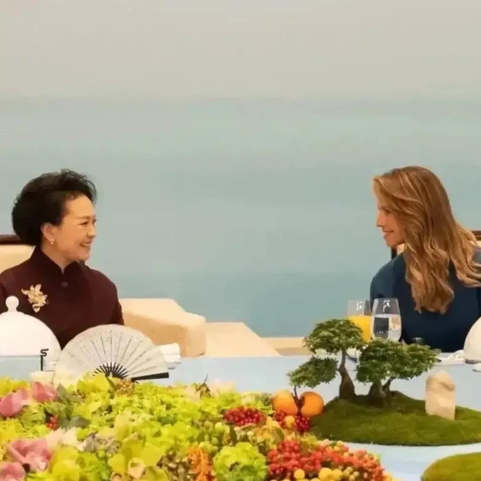 巴沙尔夫妇安全回到自己的国家，同样是我们提供的专机，一路护航，安全到家，巴沙尔一