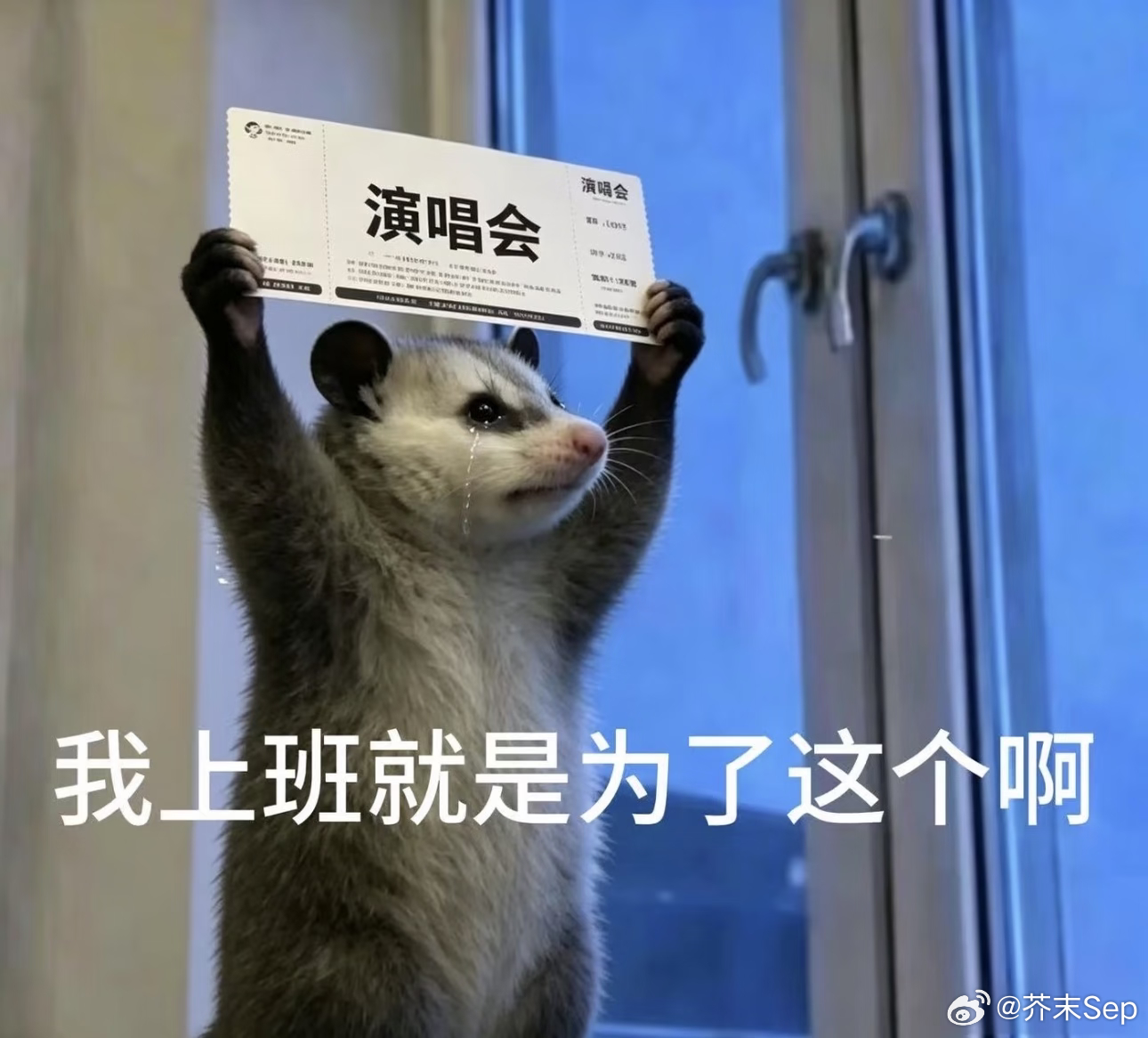郭富城经纪人确认郑州演唱会郭富城经纪人发布郑州演唱会动态实锤来了，经纪人直接出面
