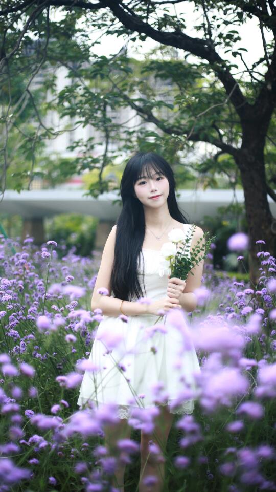 河源的!0元打卡普罗旺斯紫色花海💜