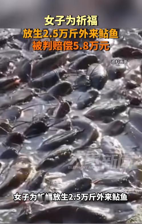 这下好了，积的福还没有造的孽多！

6月4日报道，近期，最高人民法院发布多批民法