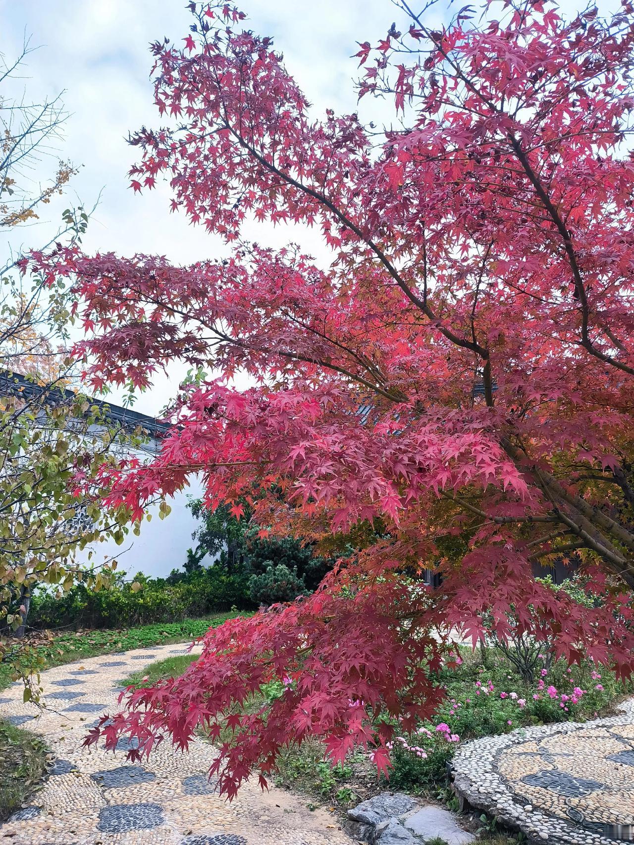 当有人提出听自己的课时，你会采取什么样的态度？

对于大多数人来说，有人来听课，