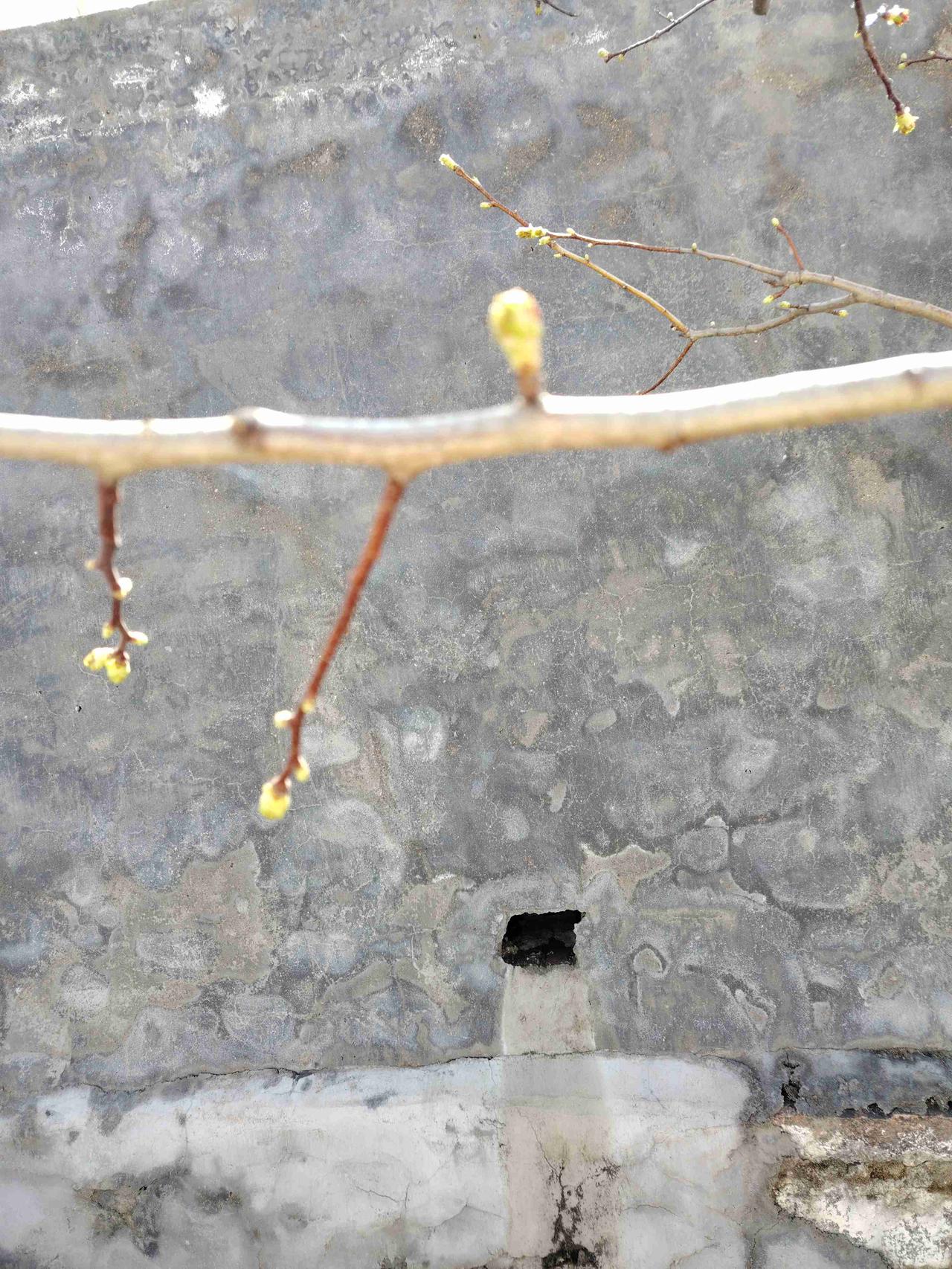 我的今日状态：💰期待暴富
我这里的天气：☀️晴天