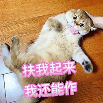 年高体衰别瞎表现