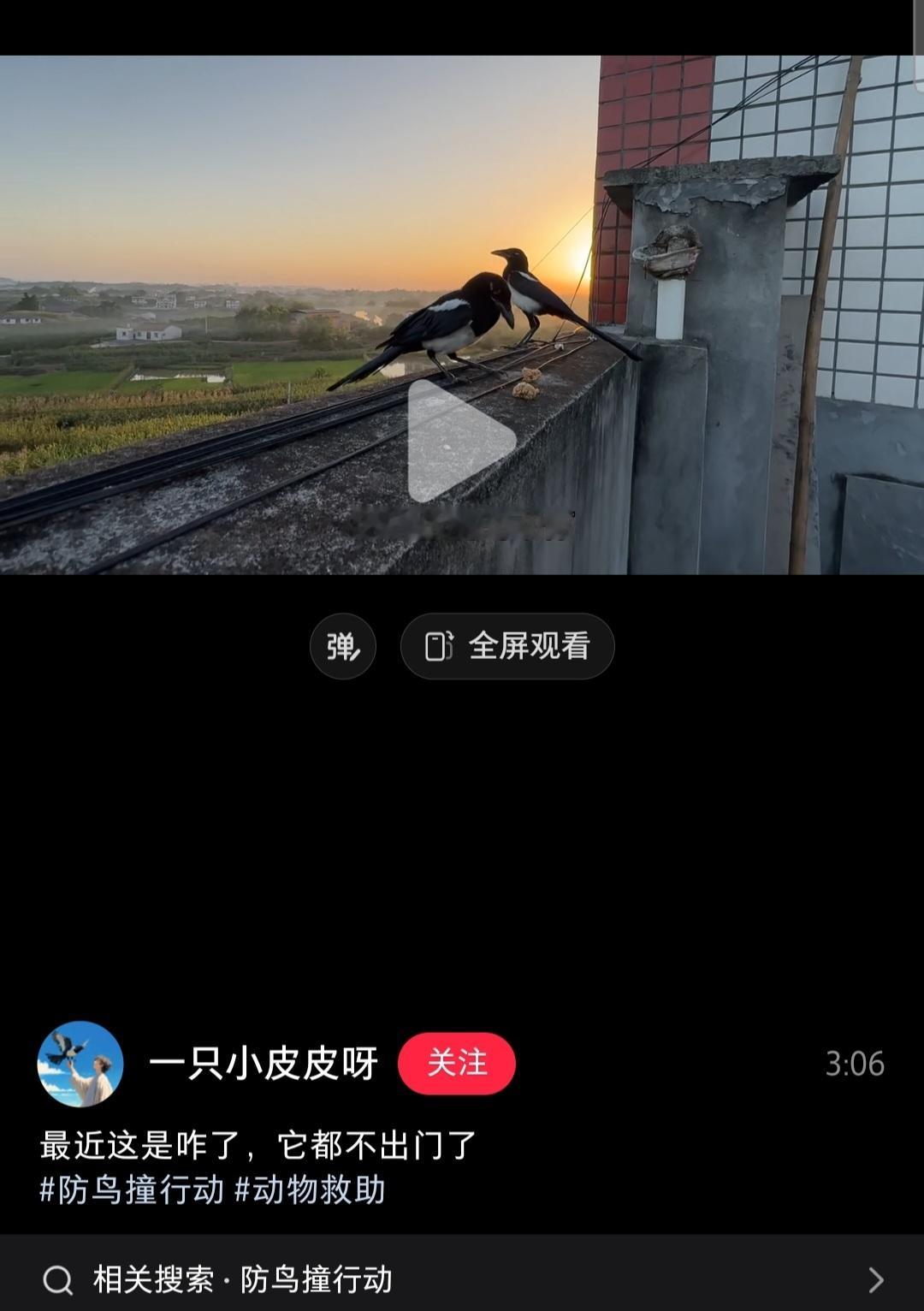 每次刷到这种视频就很想去乡下生活 