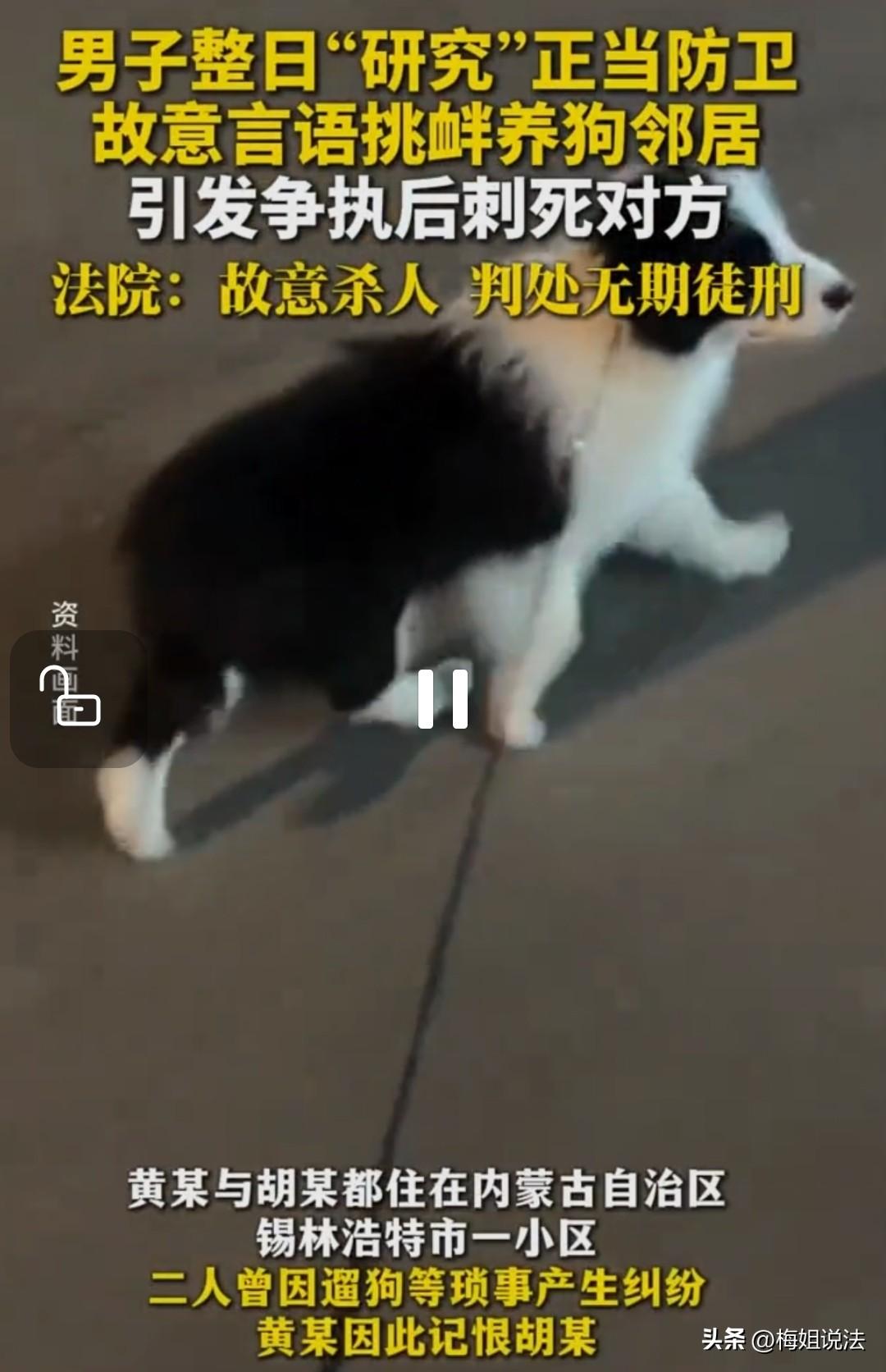 自作聪明的后果！ 内蒙古锡林浩特，一男人和遛狗不拴绳的邻居吵了几句，就怀恨在心，